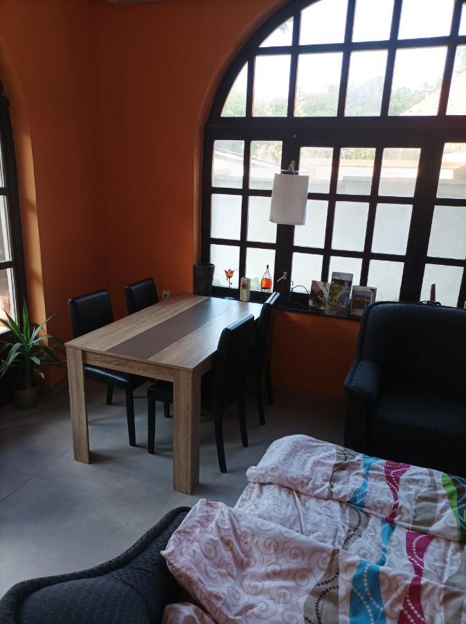 Nemeth Apartman Palić Exterior foto