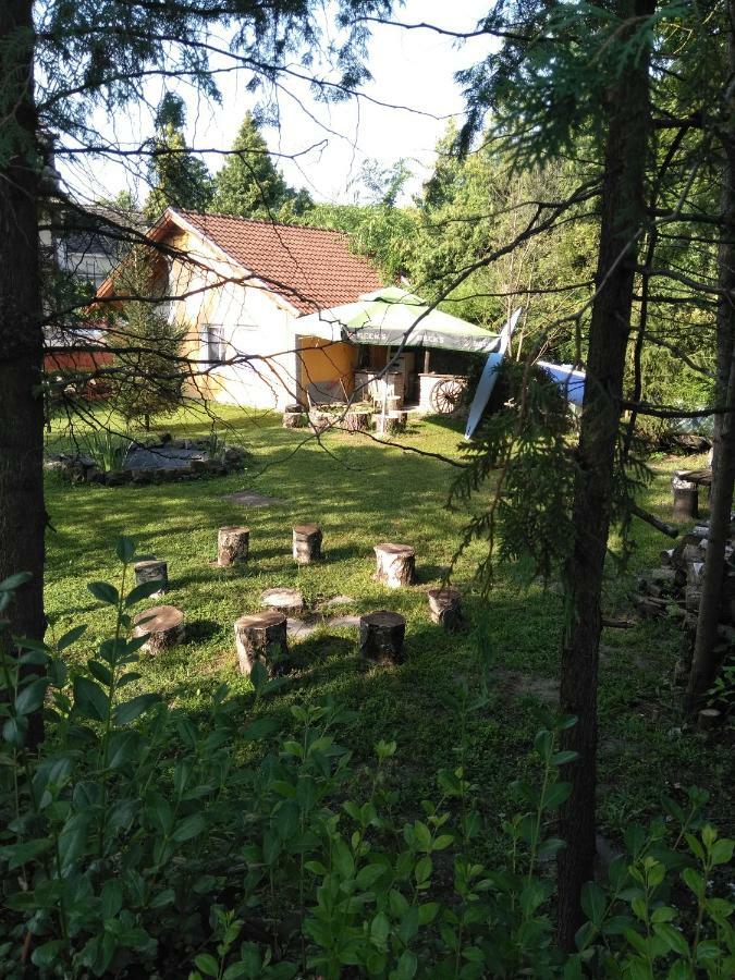 Nemeth Apartman Palić Exterior foto